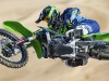 desalle-cropped